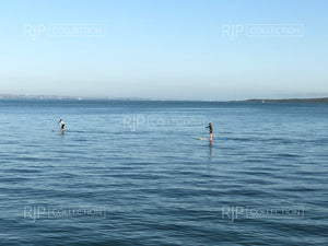 Paddleboarders 1