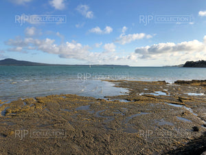 Rangitoto 11