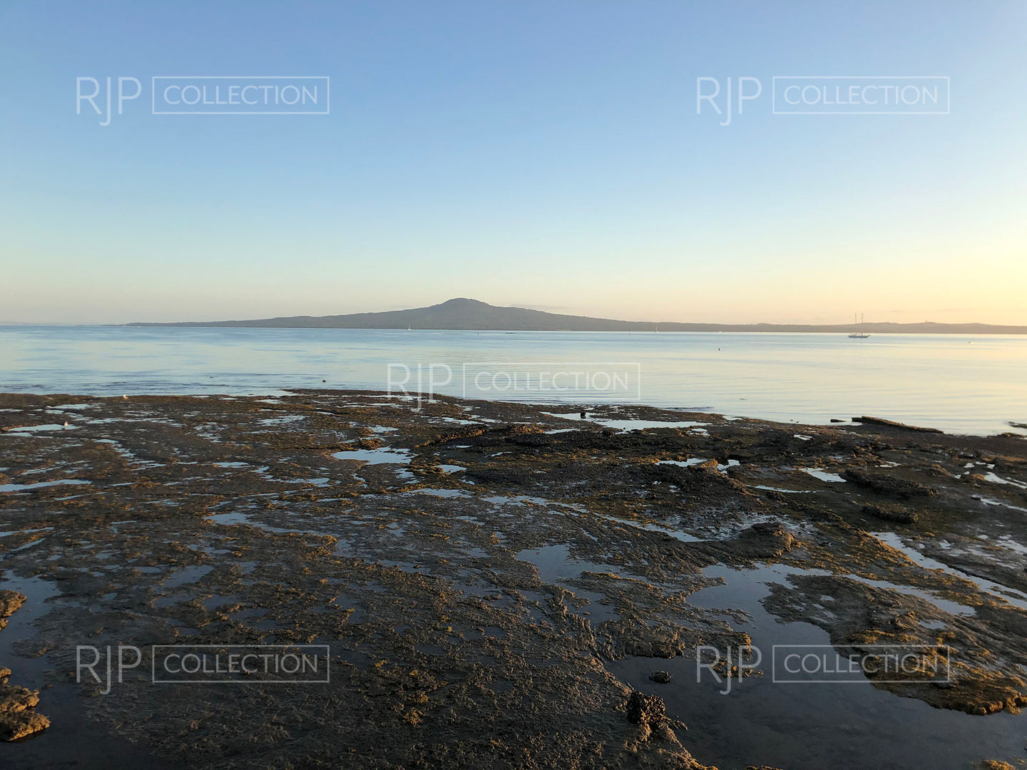 Rangitoto 5