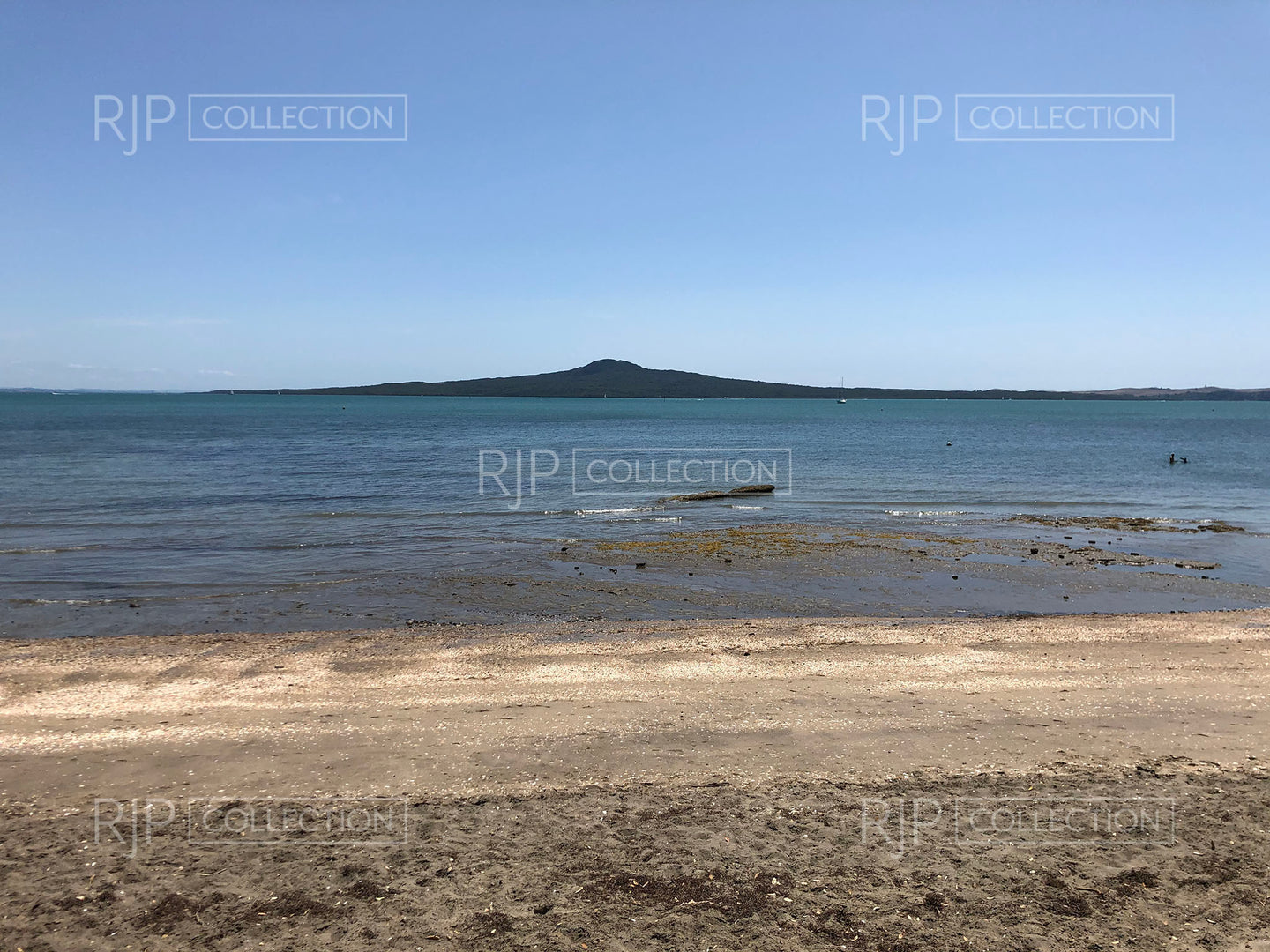 Rangitoto 6