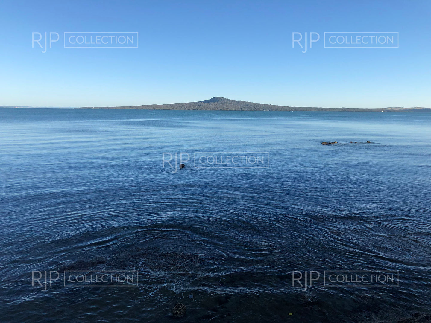 Rangitoto 9